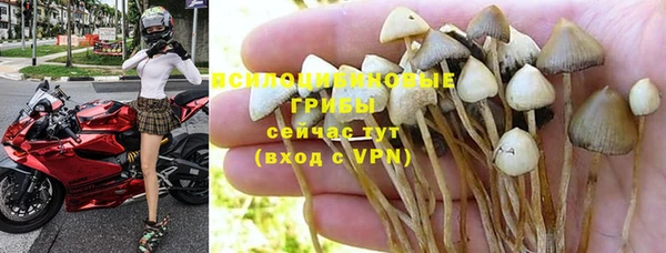 mdpv Володарск